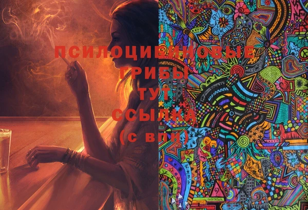 таблы Алексин