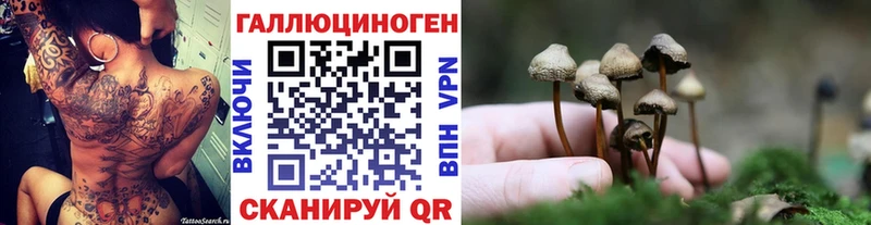 закладки  OMG ссылки  Галлюциногенные грибы прущие грибы  Катав-Ивановск 